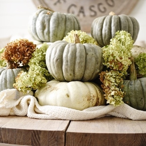 🌻 Meet your Posher 🌻 - Picture 7 of 10